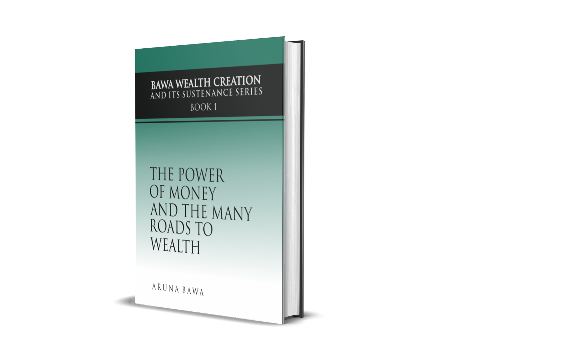 The Power of Money and the Many Roads to Wealth